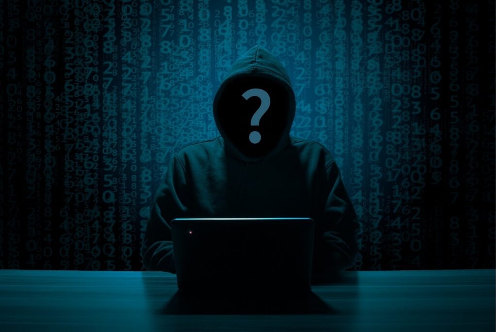 Cybercrime/ identity theft